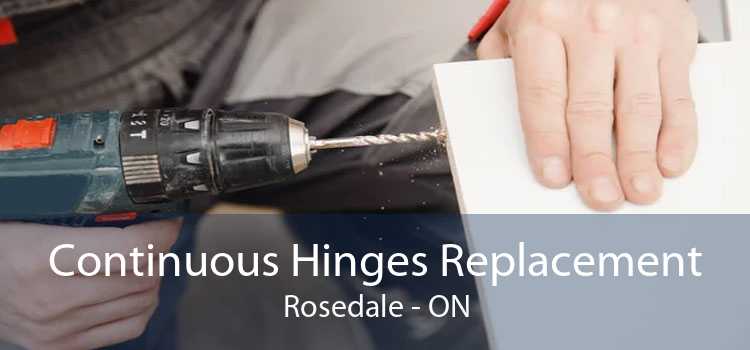 Continuous Hinges Replacement Rosedale - ON