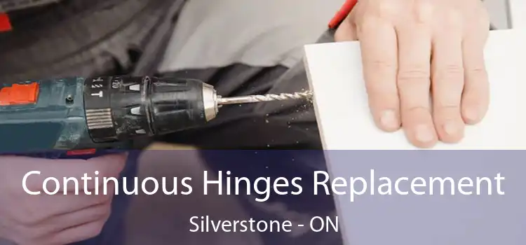  Continuous Hinges Replacement Silverstone - ON