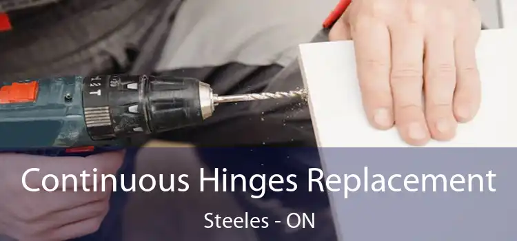  Continuous Hinges Replacement Steeles - ON