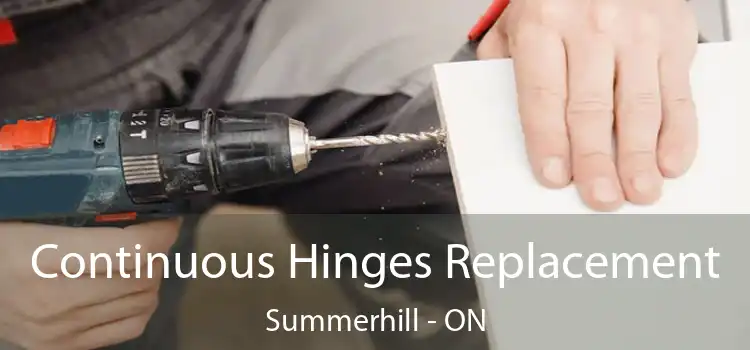  Continuous Hinges Replacement Summerhill - ON