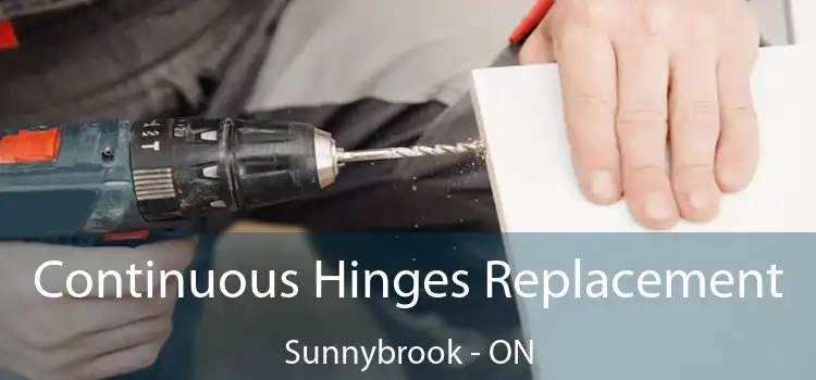  Continuous Hinges Replacement Sunnybrook - ON