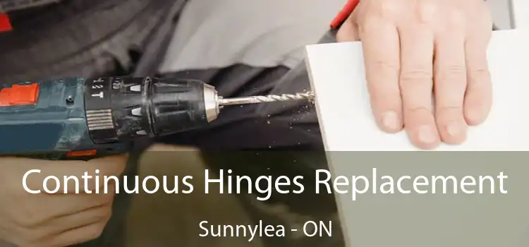  Continuous Hinges Replacement Sunnylea - ON