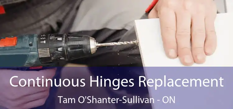  Continuous Hinges Replacement Tam O'Shanter-Sullivan - ON