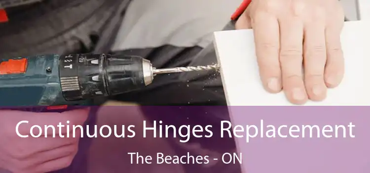  Continuous Hinges Replacement The Beaches - ON