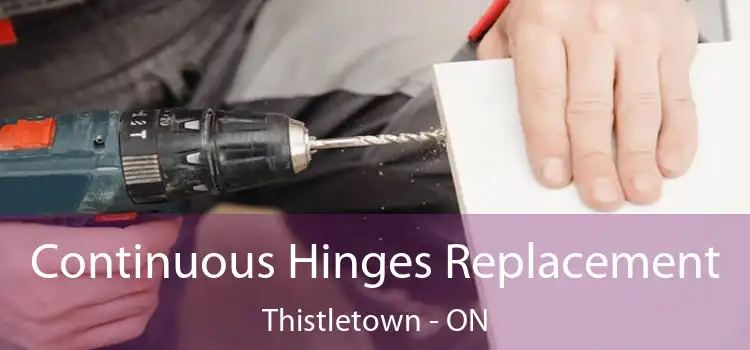  Continuous Hinges Replacement Thistletown - ON