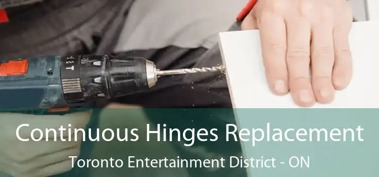  Continuous Hinges Replacement Toronto Entertainment District - ON
