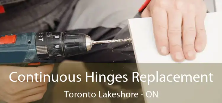  Continuous Hinges Replacement Toronto Lakeshore - ON