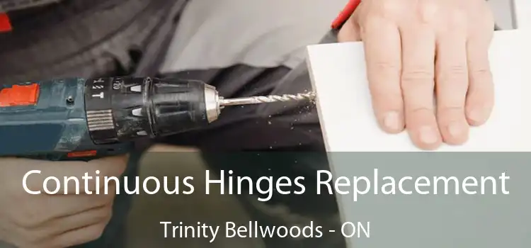  Continuous Hinges Replacement Trinity Bellwoods - ON