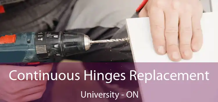  Continuous Hinges Replacement University - ON