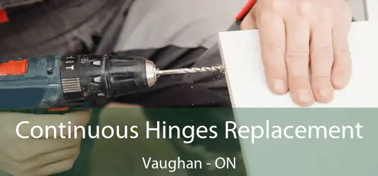  Continuous Hinges Replacement Vaughan - ON