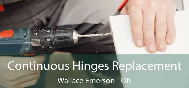  Continuous Hinges Replacement Wallace Emerson - ON