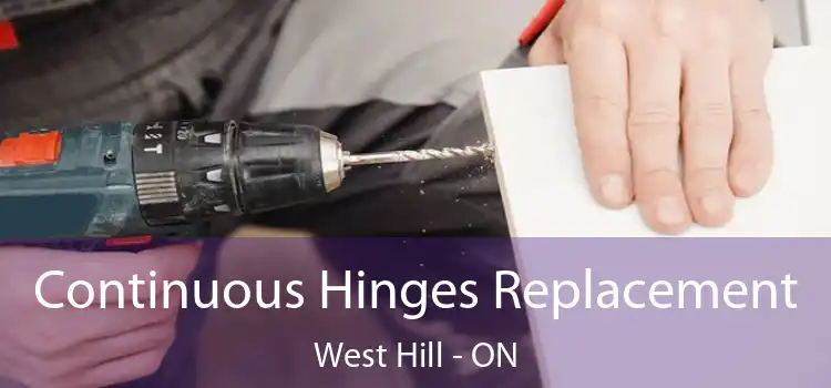  Continuous Hinges Replacement West Hill - ON