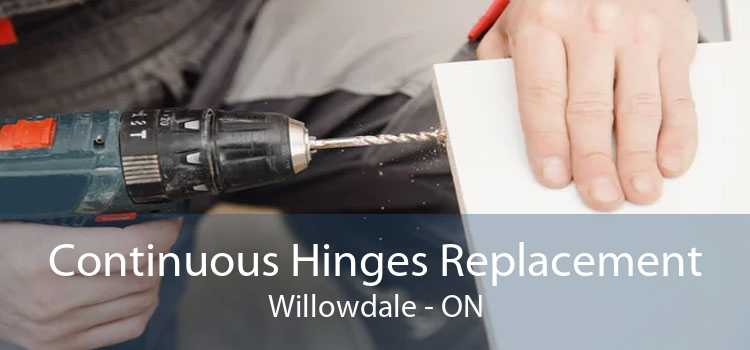 Continuous Hinges Replacement Willowdale - ON
