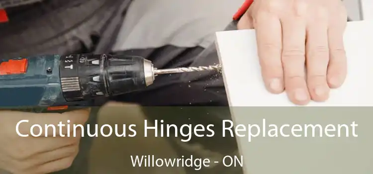  Continuous Hinges Replacement Willowridge - ON