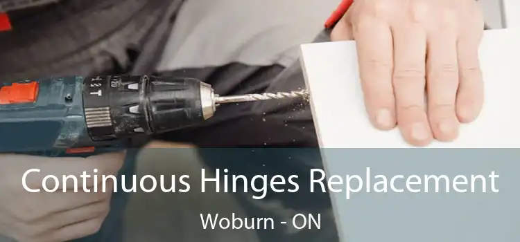  Continuous Hinges Replacement Woburn - ON