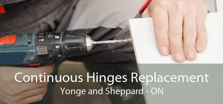 Continuous Hinges Replacement Yonge and Sheppard - ON