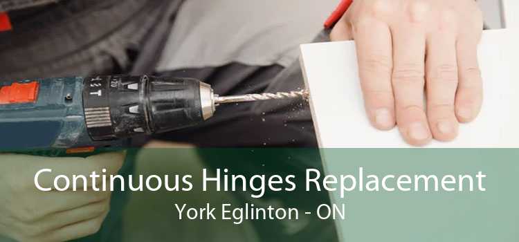 Continuous Hinges Replacement York Eglinton - ON