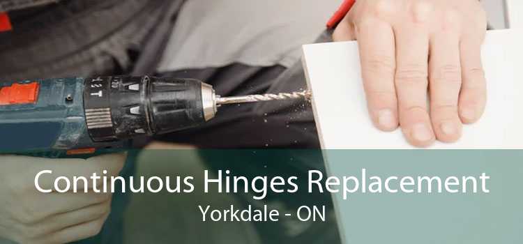 Continuous Hinges Replacement Yorkdale - ON
