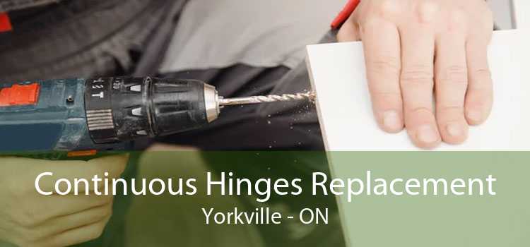 Continuous Hinges Replacement Yorkville - ON