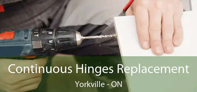  Continuous Hinges Replacement Yorkville - ON