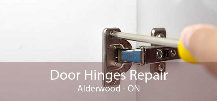 Door Hinges Repair Alderwood - ON