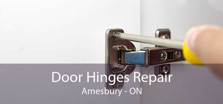 Door Hinges Repair Amesbury - ON