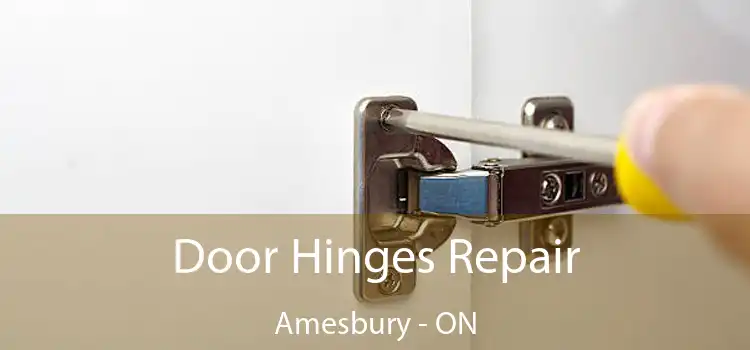  Door Hinges Repair Amesbury - ON