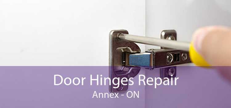 Door Hinges Repair Annex - ON