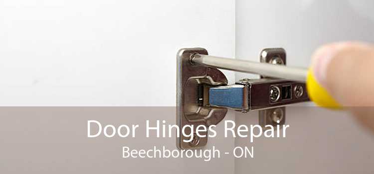 Door Hinges Repair Beechborough - ON