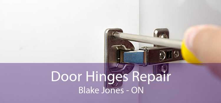 Door Hinges Repair Blake Jones - ON