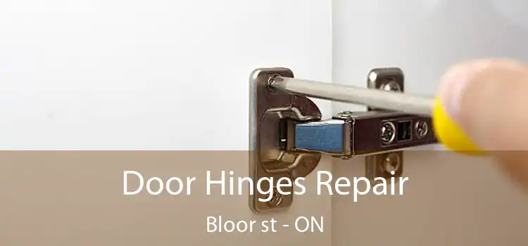  Door Hinges Repair Bloor st - ON