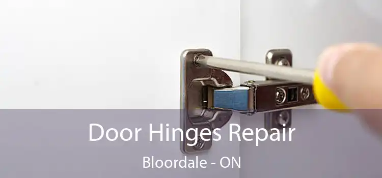  Door Hinges Repair Bloordale - ON