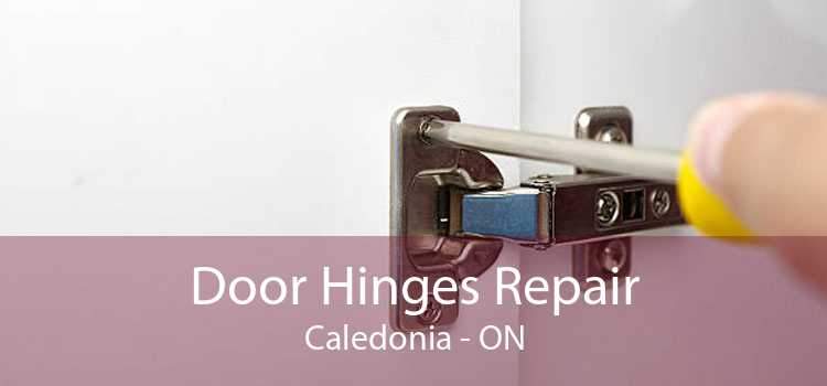 Door Hinges Repair Caledonia - ON