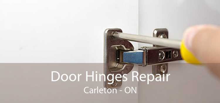Door Hinges Repair Carleton - ON