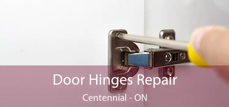  Door Hinges Repair Centennial - ON
