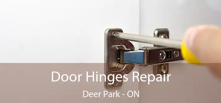  Door Hinges Repair Deer Park - ON