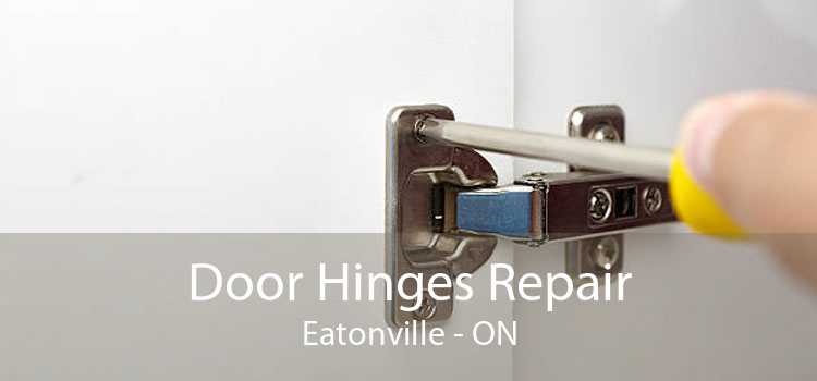 Door Hinges Repair Eatonville - ON