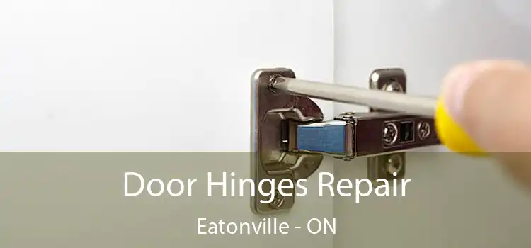  Door Hinges Repair Eatonville - ON