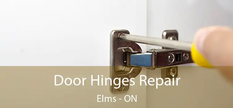  Door Hinges Repair Elms - ON