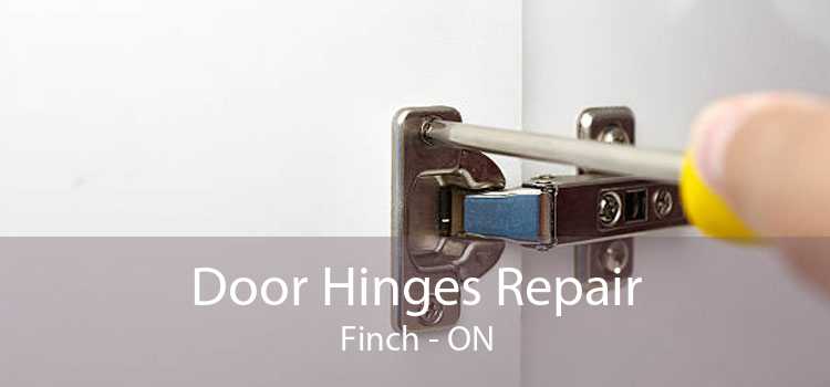 Door Hinges Repair Finch - ON