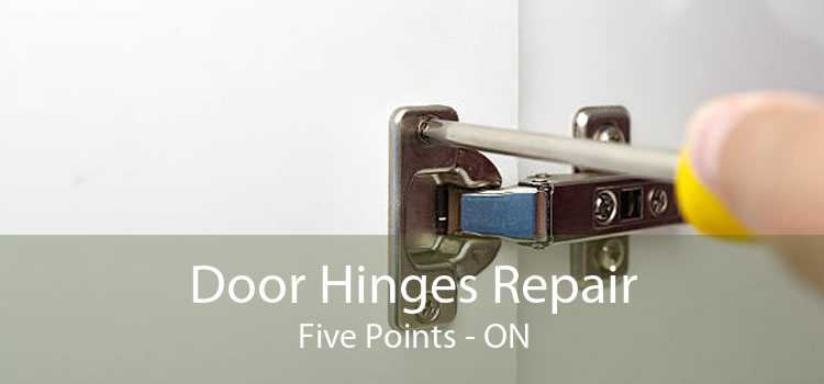 Door Hinges Repair Five Points - ON