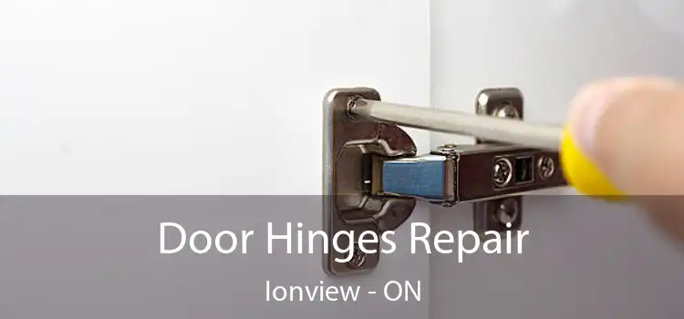  Door Hinges Repair Ionview - ON