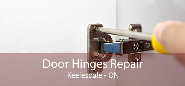 Door Hinges Repair Keelesdale - ON