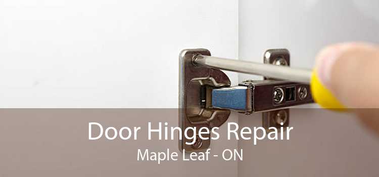 Door Hinges Repair Maple Leaf - ON