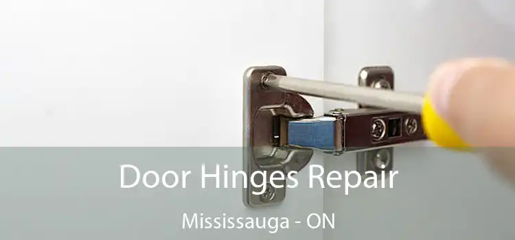  Door Hinges Repair Mississauga - ON
