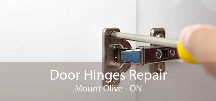 Door Hinges Repair Mount Olive - ON