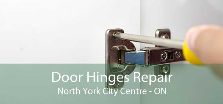 Door Hinges Repair North York City Centre - ON