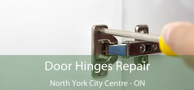  Door Hinges Repair North York City Centre - ON