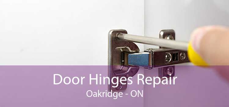 Door Hinges Repair Oakridge - ON