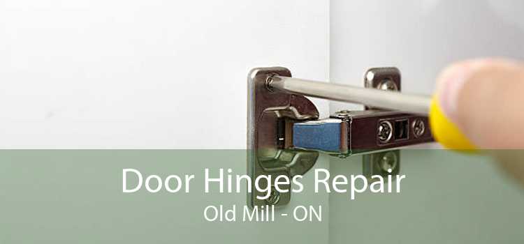 Door Hinges Repair Old Mill - ON